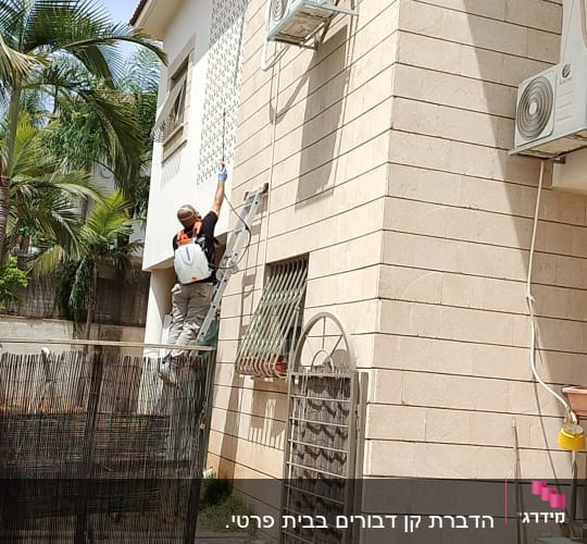 אדם על סולם עם ציוד הדברה ליד קיר בניין